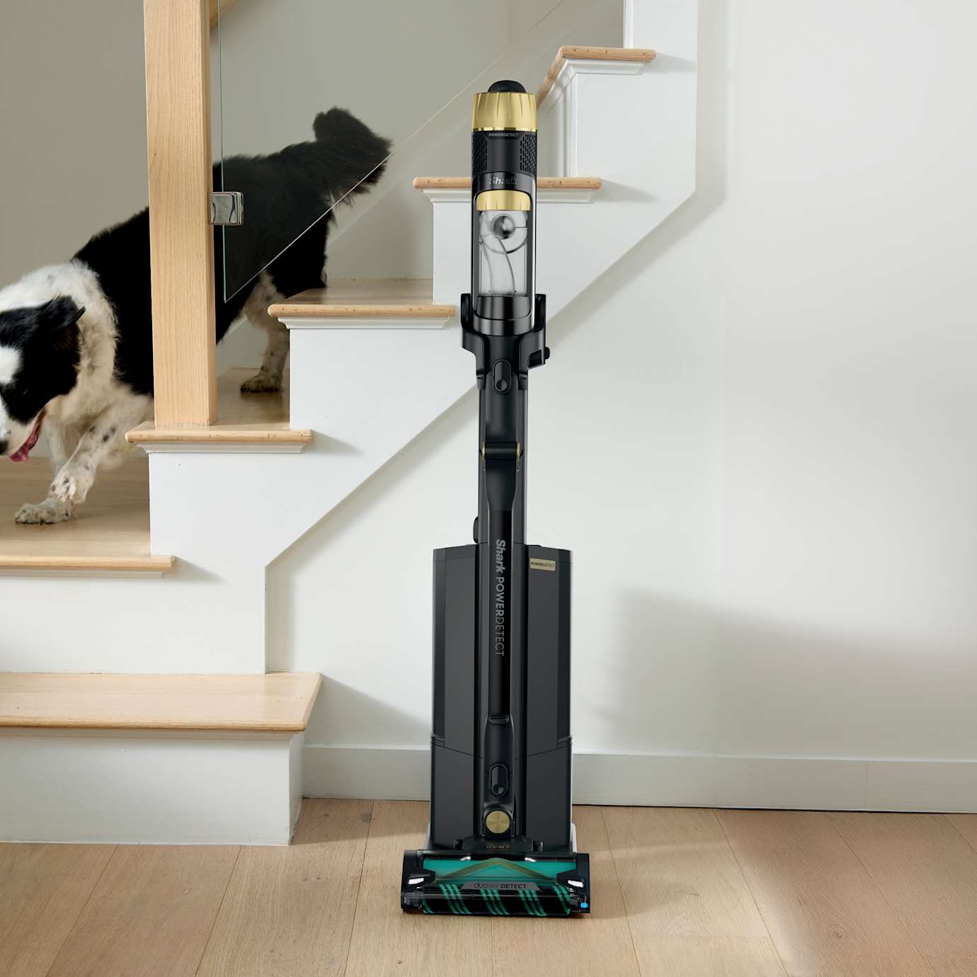 Shark PowerDetect Reveal Cordless Vacuum Clean & Empty System - Image 10