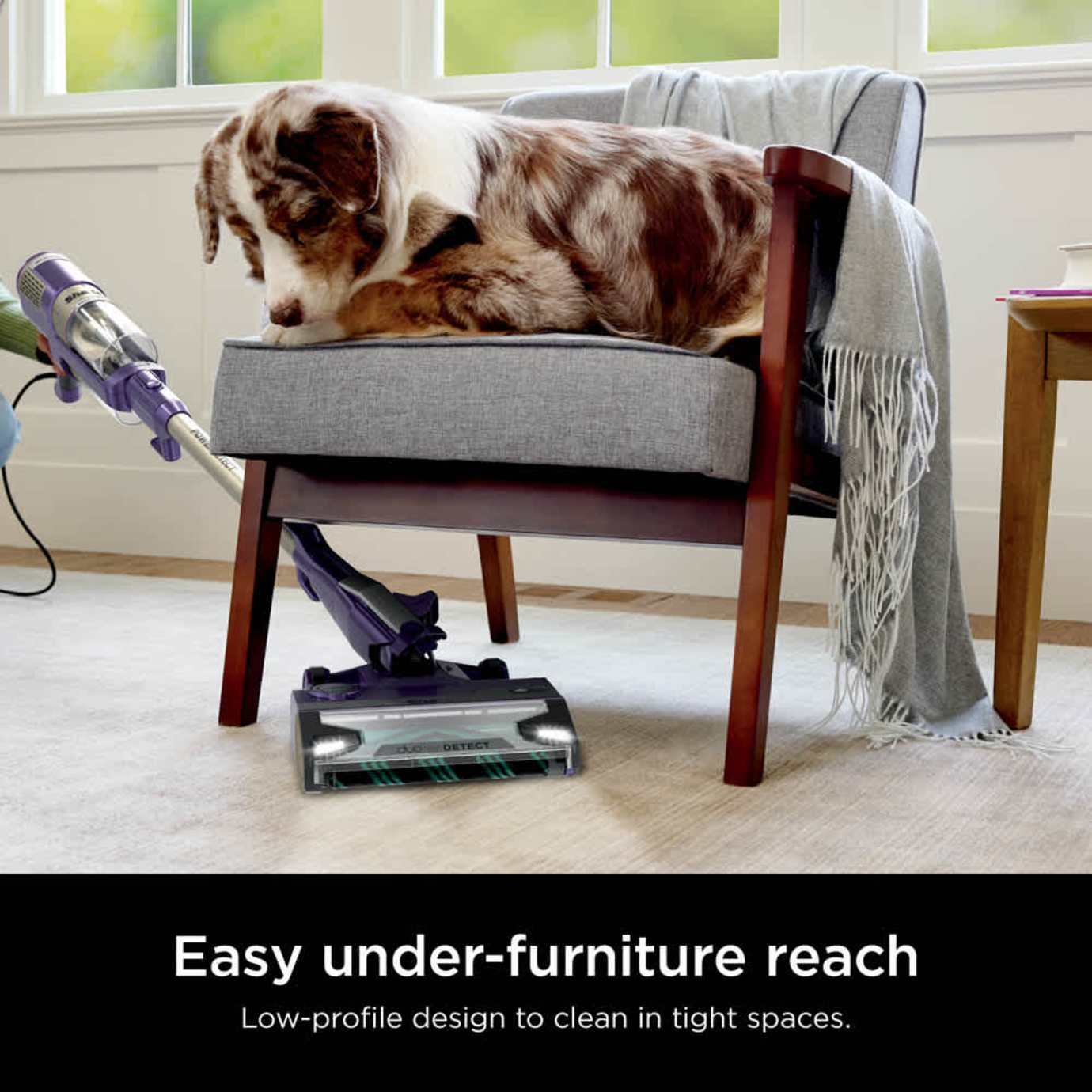 Shark PowerDetect Corded Stick Vacuum - Image 17