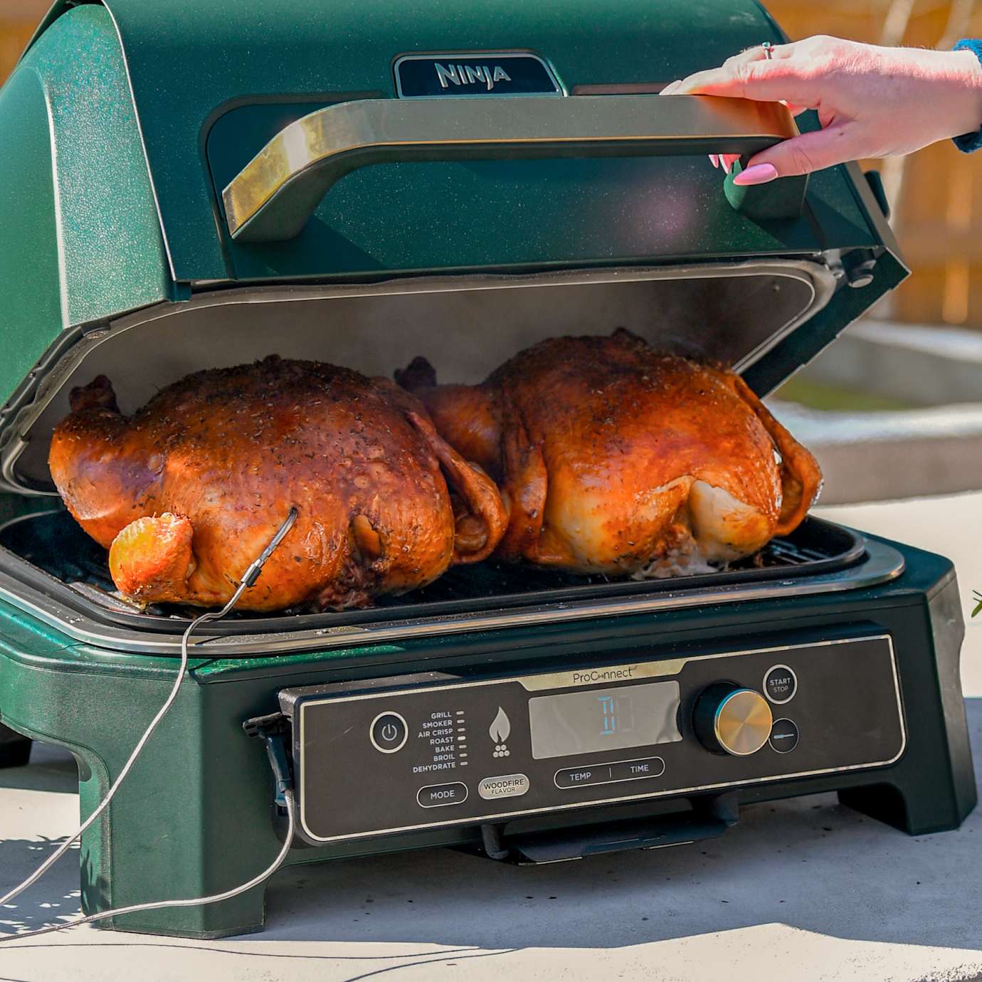 Ninja Woodfire XL Grill and Shark Fan Bundle - Image 11