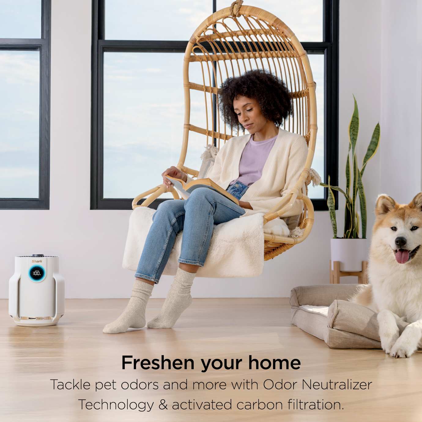 Shark NeverChange Compact Air Purifier Bundle - Image 19