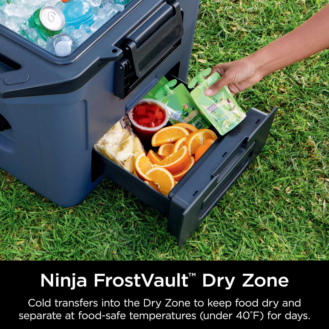 Ninja FrostVault 30qt Hard Cooler with Cold Dry Zone in Pink - Image 6