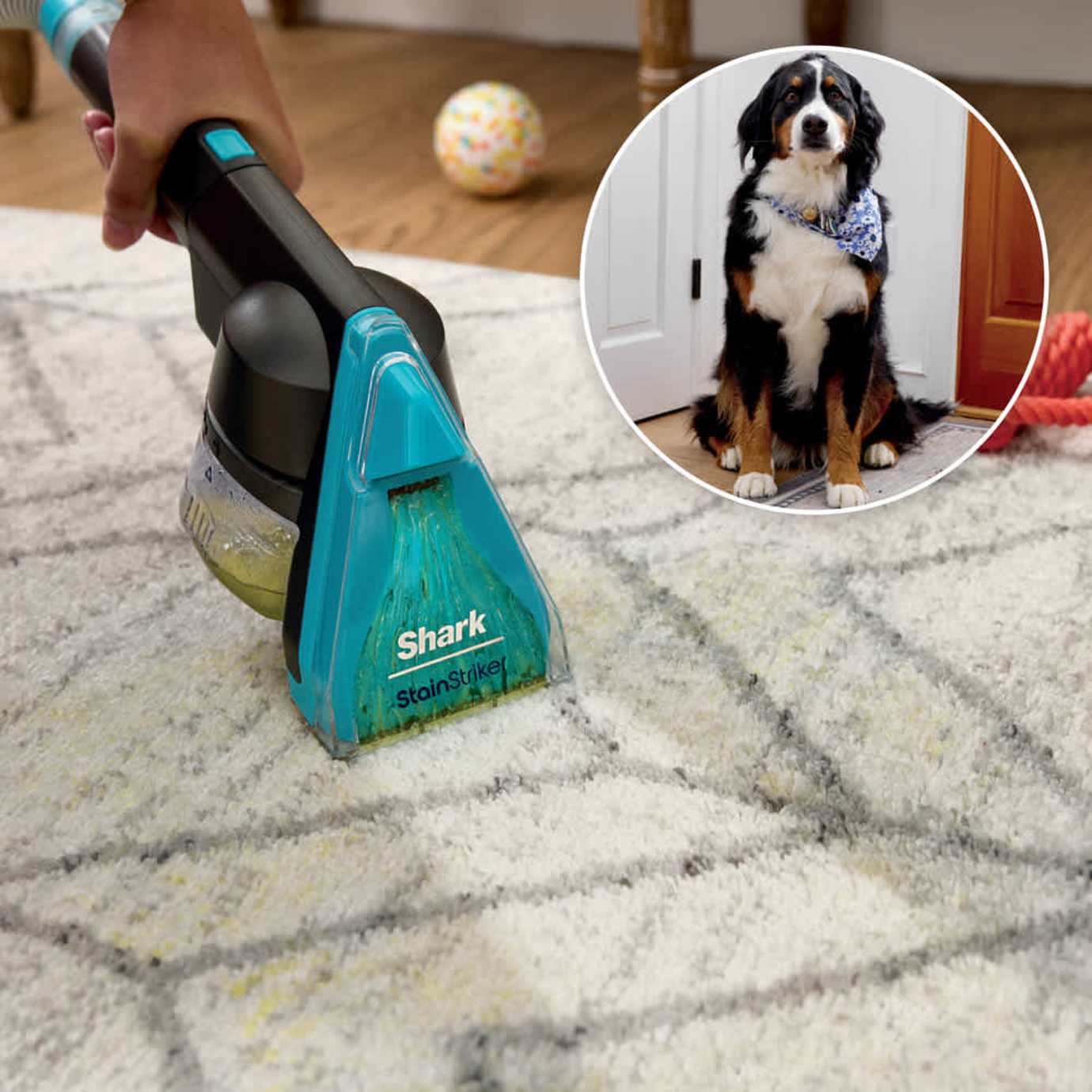 Shark CarpetXpert HairPro Carpet Cleaner Pet Formula - Image 5