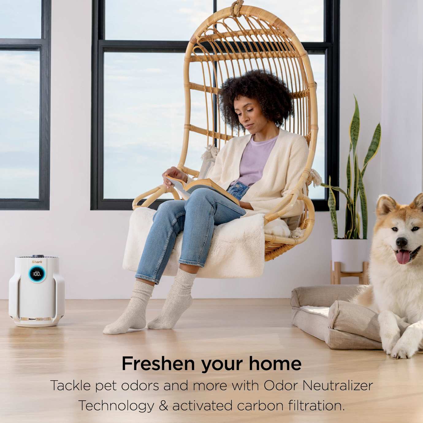 Shark NeverChange Compact Pro Air Purifier - Image 7