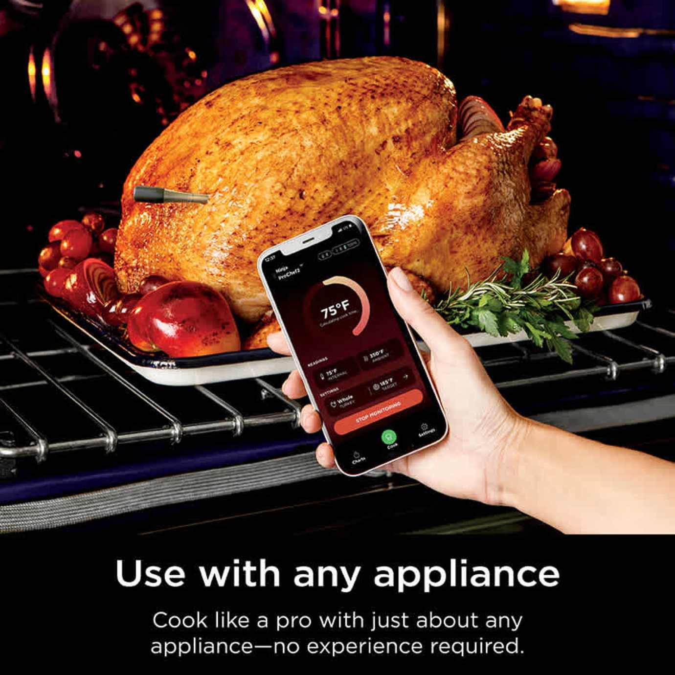 Ninja ProChef Wireless Thermometer - Image 6