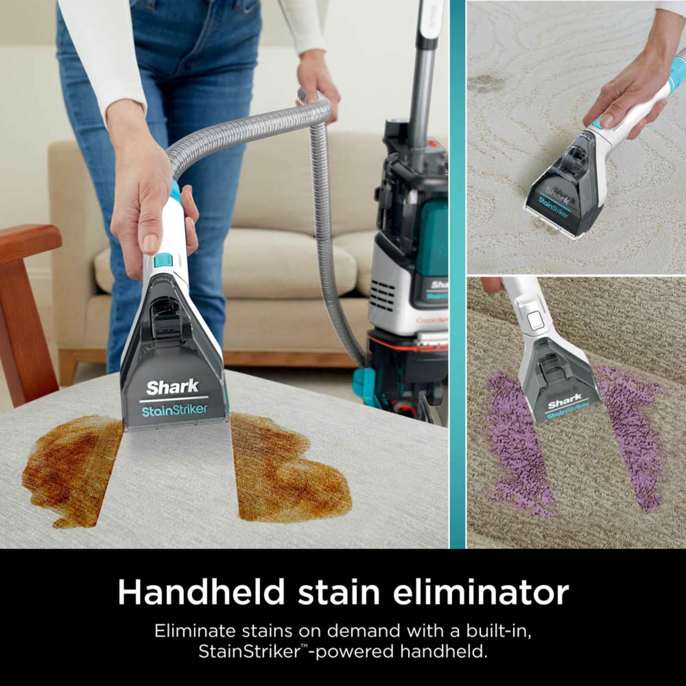 Shark CarpetXpert Carpet Cleaner - Image 5