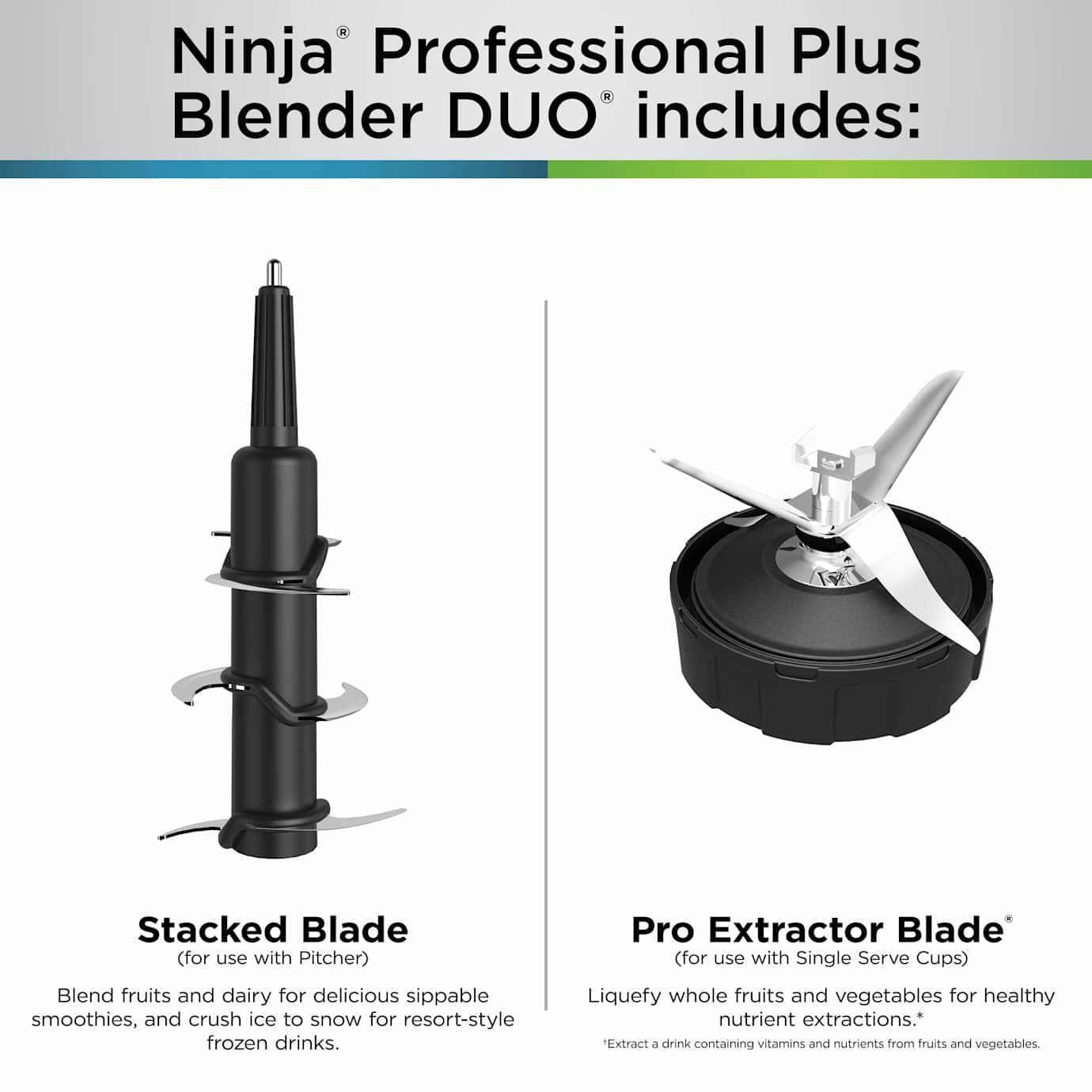 Ninja Professional Plus Blender with Cups - Image 13