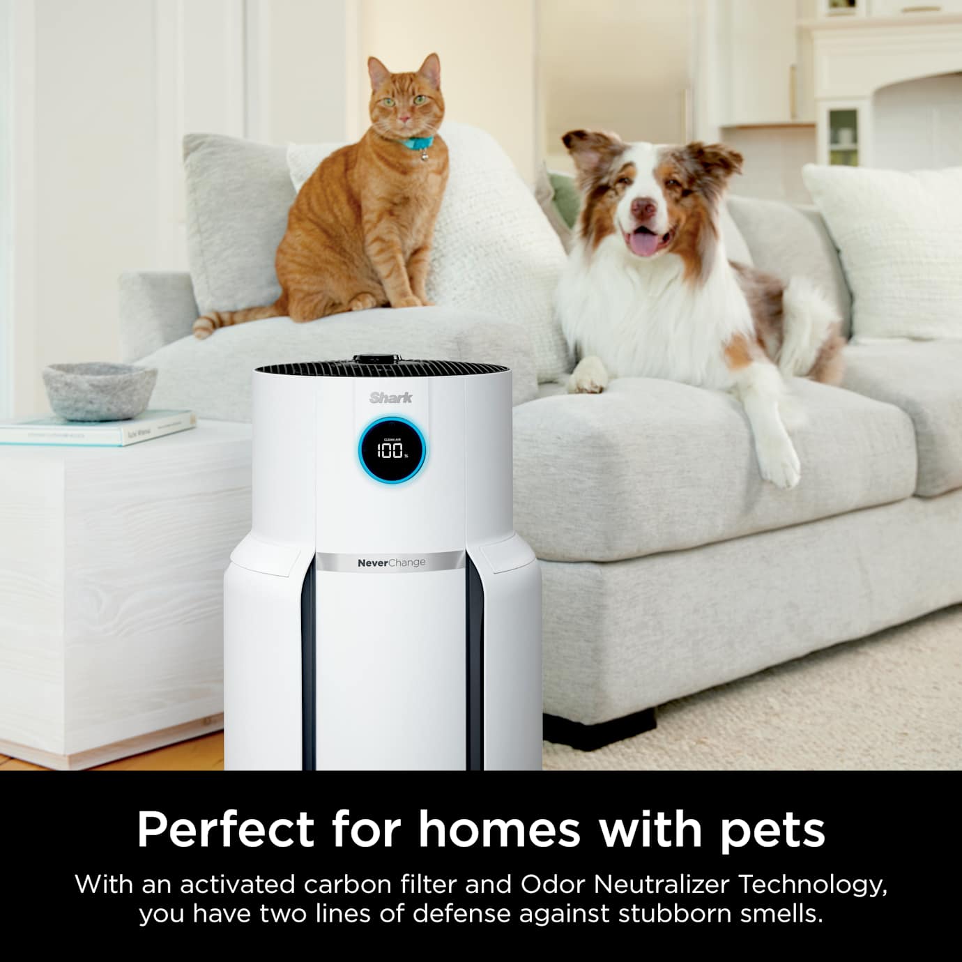 Shark NeverChange Air Purifier Max - Image 3