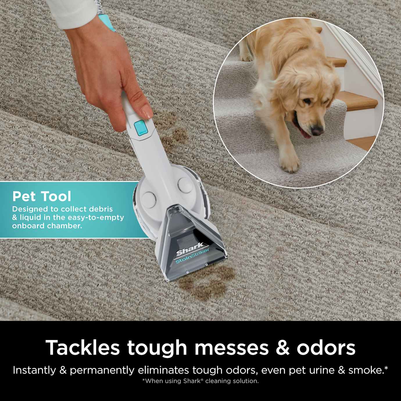 Shark CarpetXpert Carpet Cleaner - Image 6