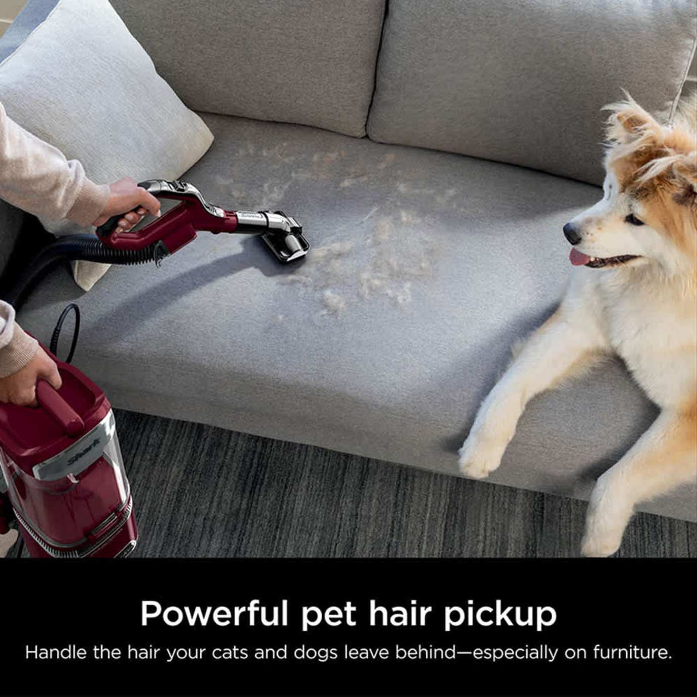 Shark Detect Upright Vacuum - Image 15
