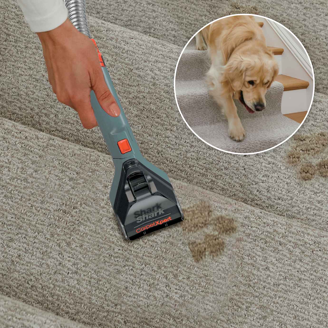 Shark CarpetXpert Rug Cleaner - Image 5