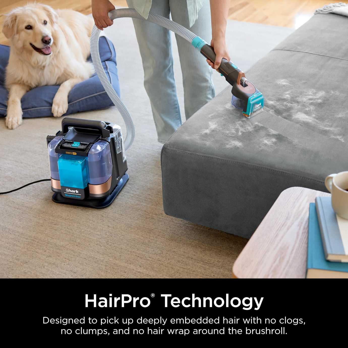 Shark StainStriker Hairpro Pet Carpet Cleaner - Image 4