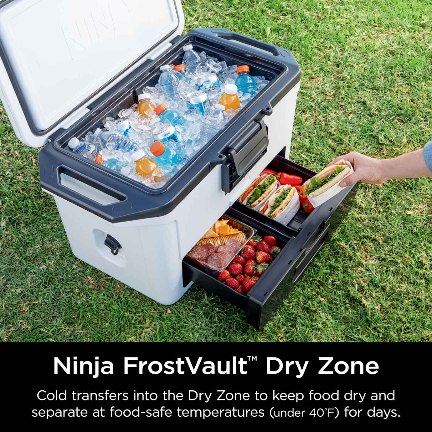 Ninja FrostVault 50qt Cooler in Pink - Image 11